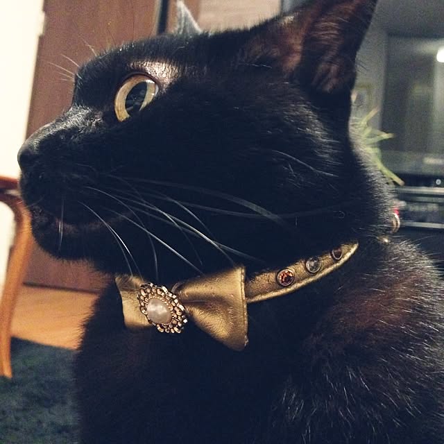 ALPSさんの実例写真