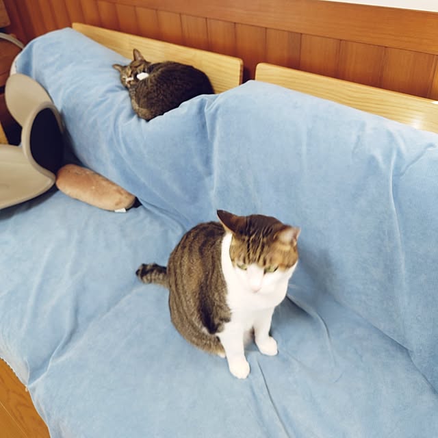 nachiさんの部屋