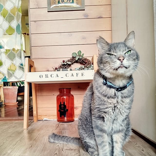 orca_cafeさんの実例写真