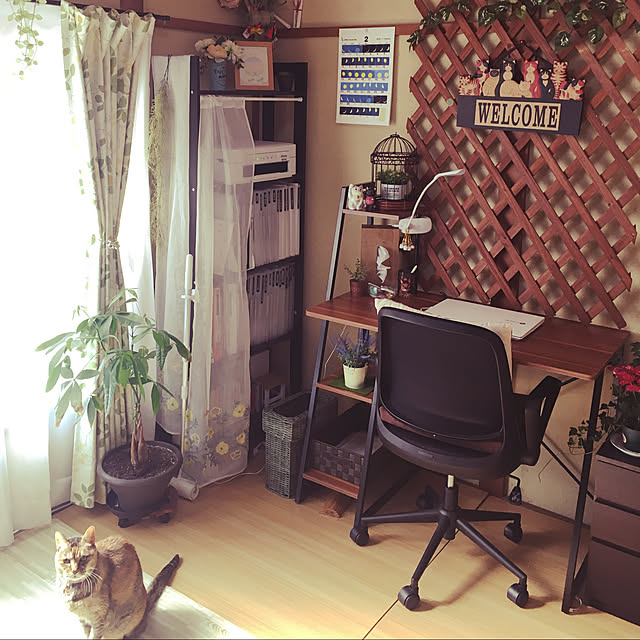 tomokoさんの実例写真