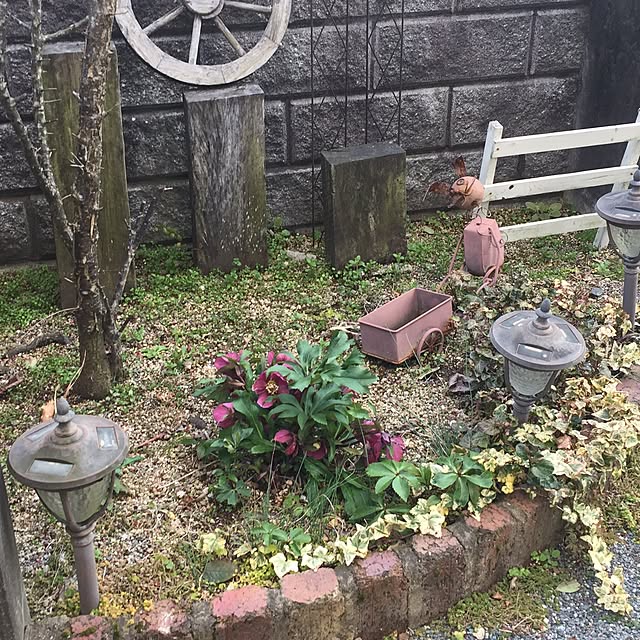 aranさんの実例写真
