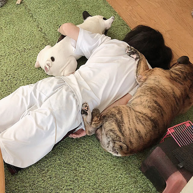chi_gogaさんの実例写真
