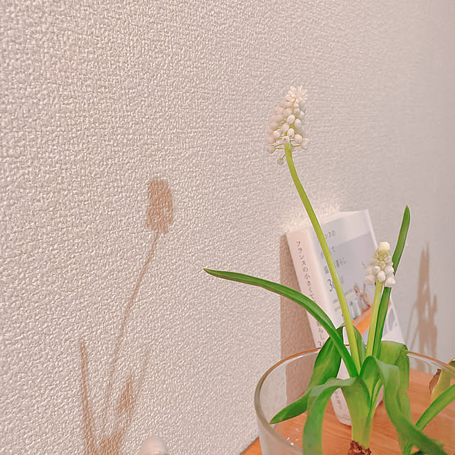smallroomさんの実例写真