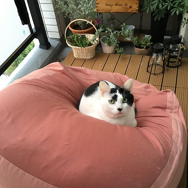 hanaさんの実例写真