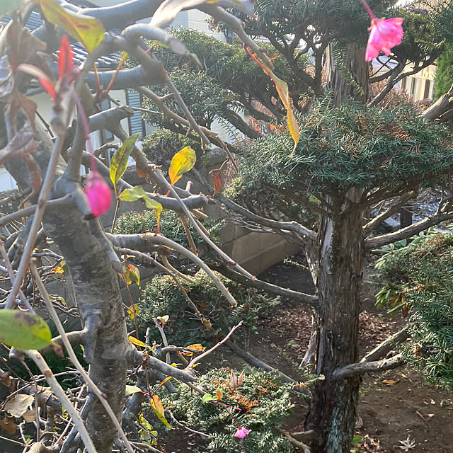 mary_loveさんの部屋