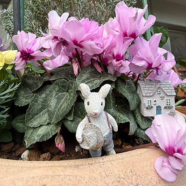 Aqettyさんの部屋