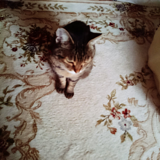 lilyさんの実例写真