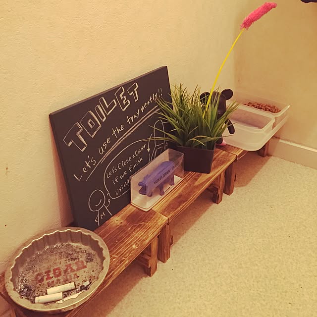 Annieさんの実例写真