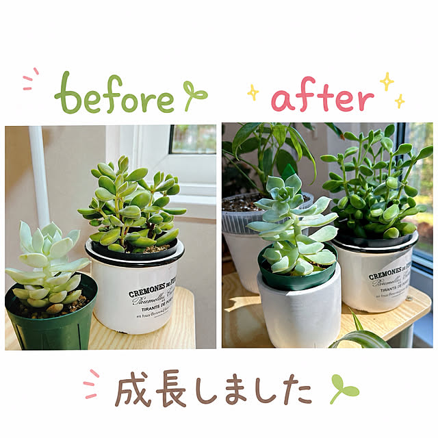 miemekkoさんの実例写真