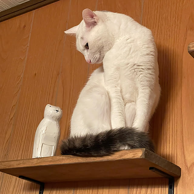 Rt_styleさんの部屋