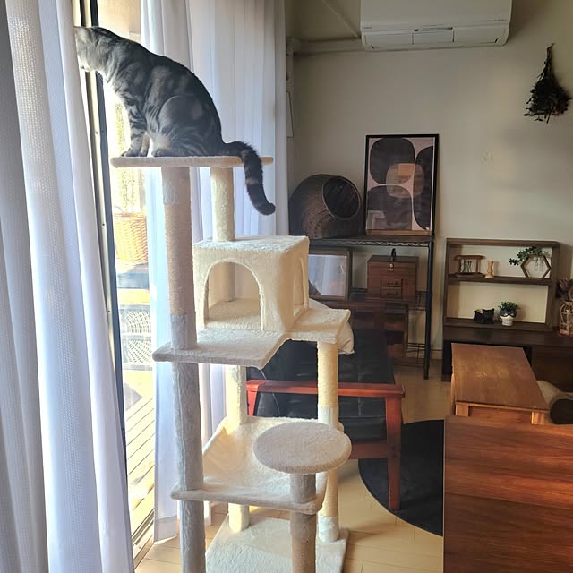 lovepeaceさんの実例写真