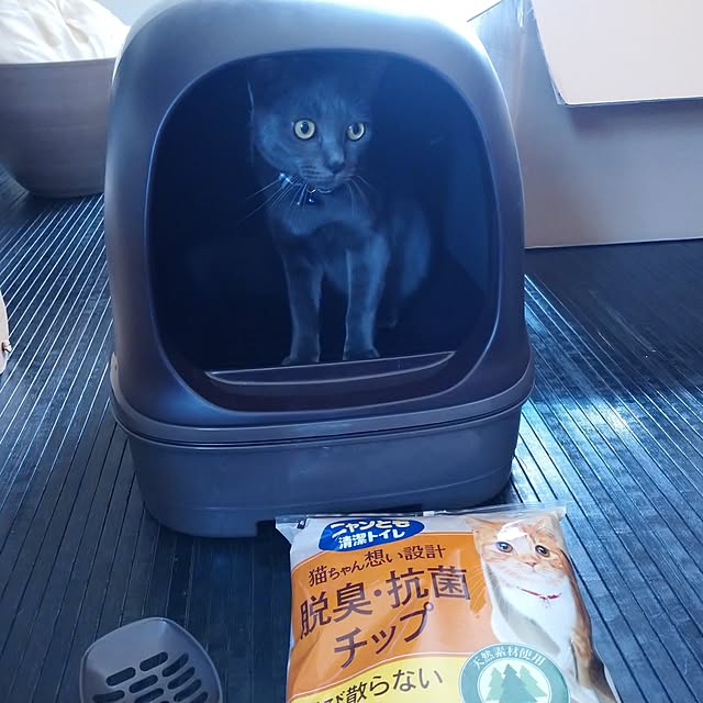 raraさんの部屋