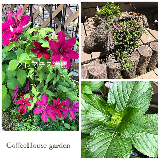 CoffeeHouseさんの実例写真