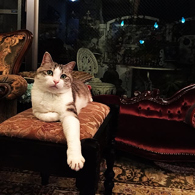 emmyyさんの実例写真
