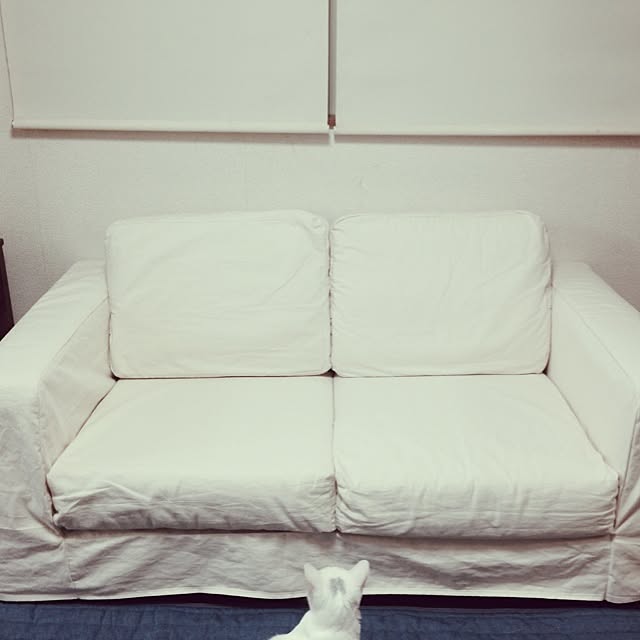 Tomoさんの実例写真