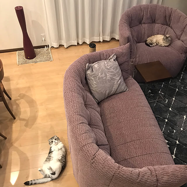 Dahliaさんの実例写真