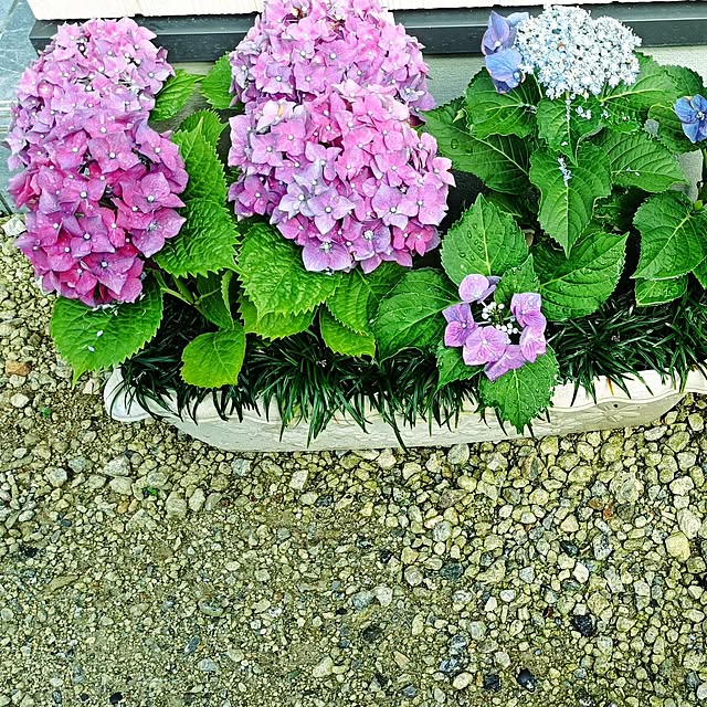 tさんの実例写真