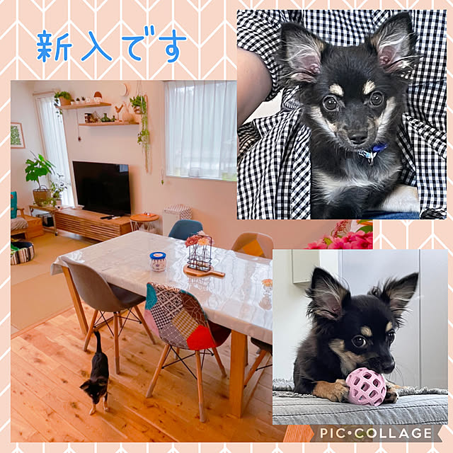 obuta47300さんの実例写真