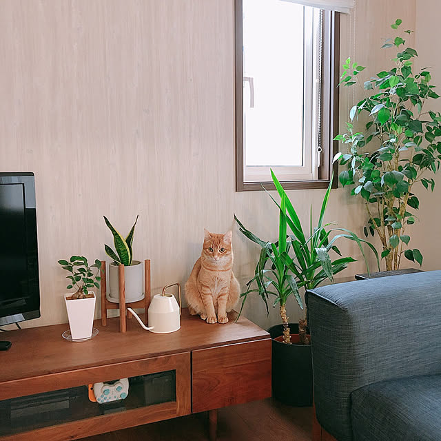 reo..m.aさんの実例写真