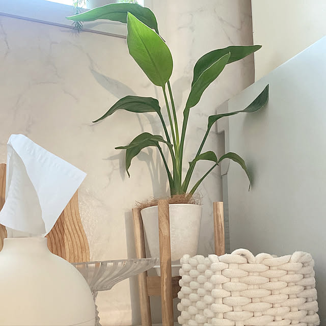 mii_home_39さんの実例写真