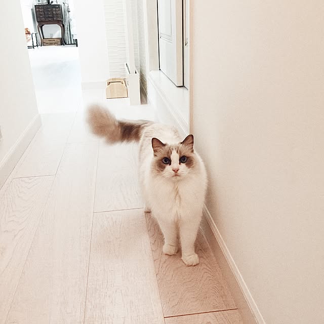 yuchiさんの実例写真