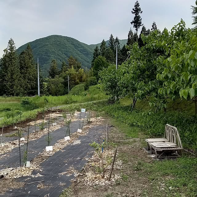 civicglさんの実例写真