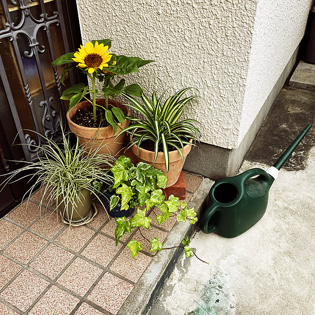 shimaumaさんの実例写真