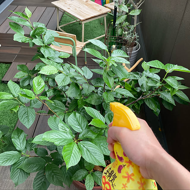 ofumifumishiiさんの実例写真