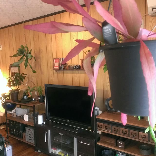 721さんの実例写真