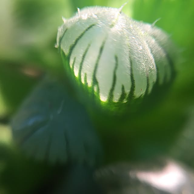 tetra163さんの実例写真
