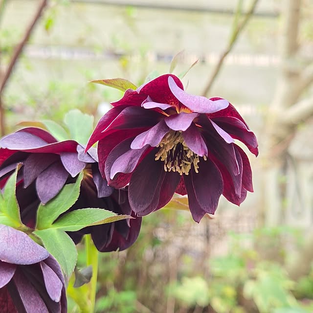 min_nimさんの実例写真