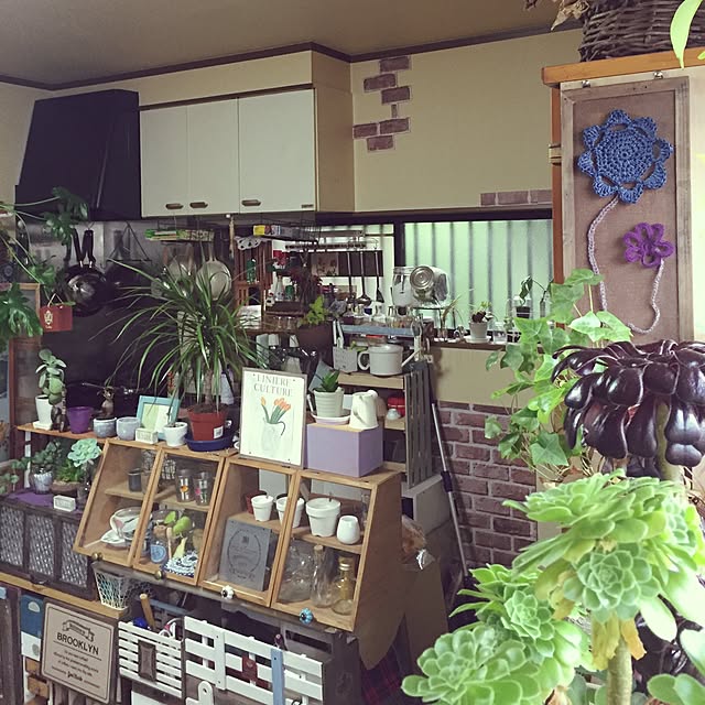 Norikoさんの実例写真