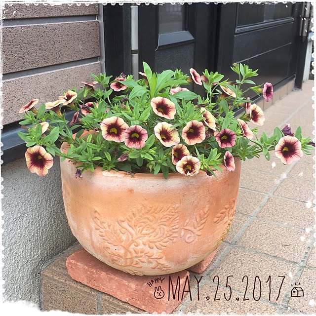 mimさんの実例写真