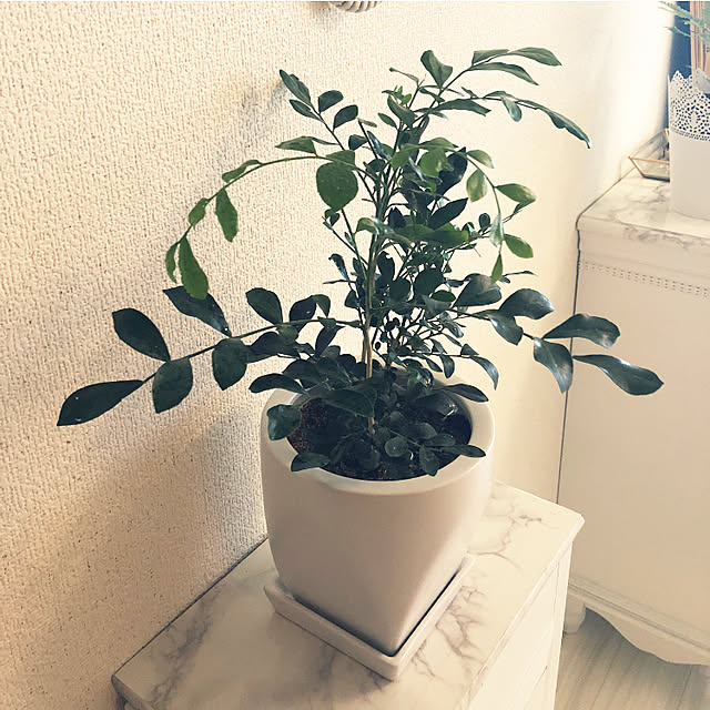 mioさんの実例写真