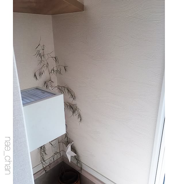 nae_chanさんの実例写真