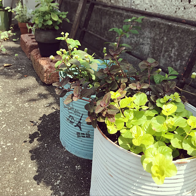 bunbunさんの実例写真