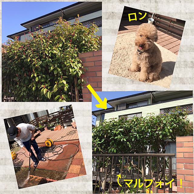 ronmaruさんの実例写真
