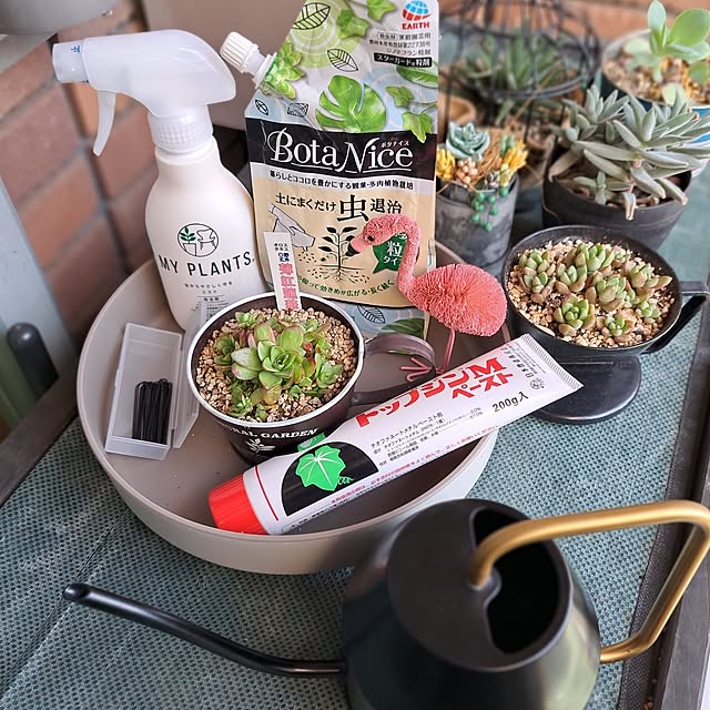noaさんの部屋