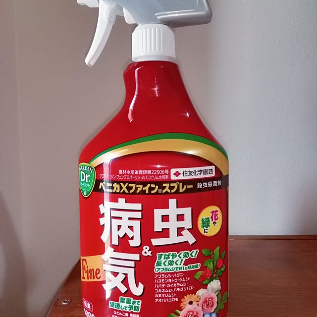 mocomocoさんの部屋