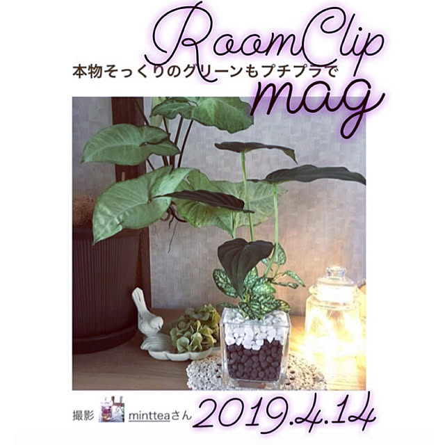 mintteaさんの実例写真