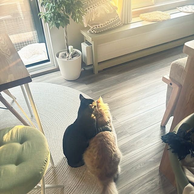 miwaさんの実例写真