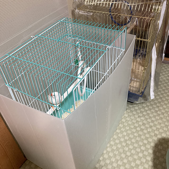 koroさんの実例写真
