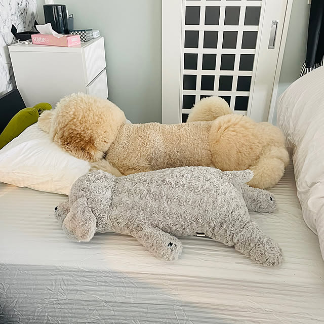 nackeyさんの部屋