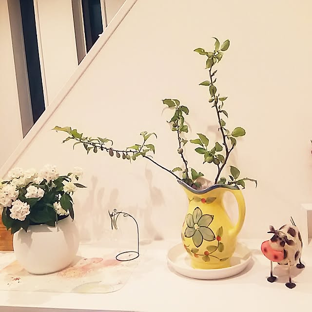mionononoさんの実例写真