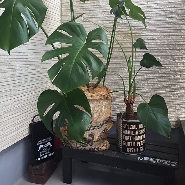 lulu1109さんの実例写真
