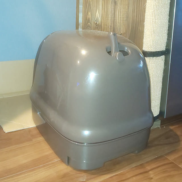aquaさんの実例写真