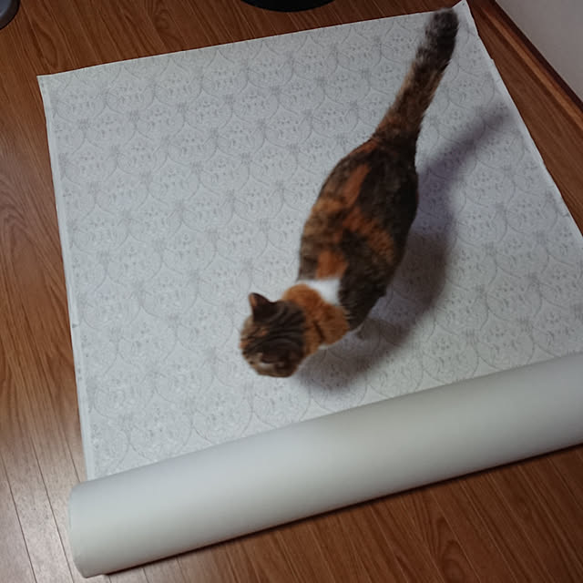 berariさんの実例写真