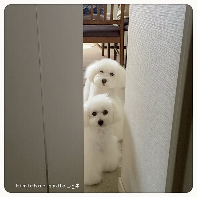 kimichan.smileさんの実例写真