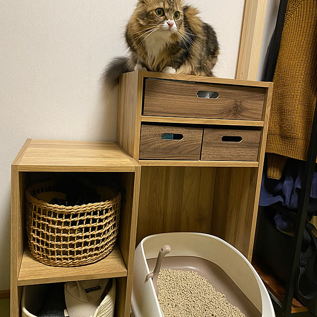 yokoさんの実例写真