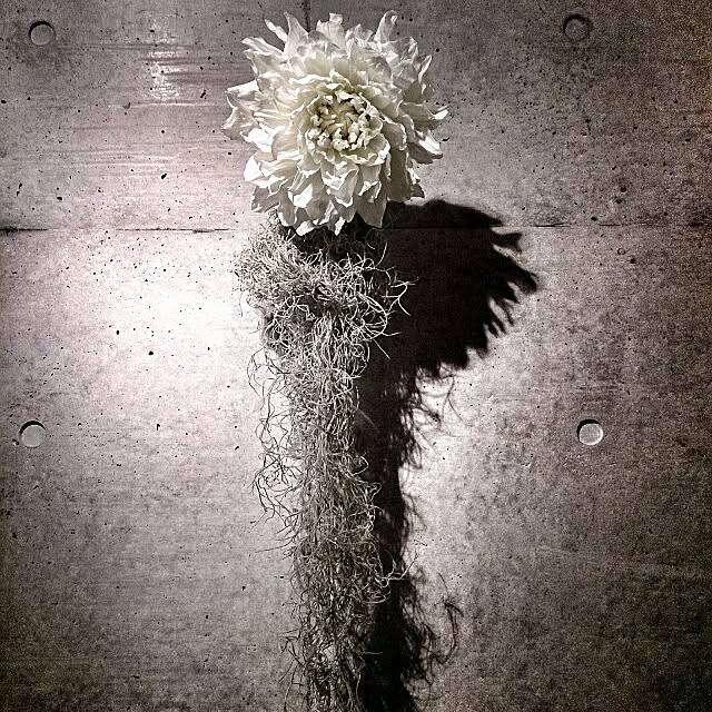 yujlさんの実例写真